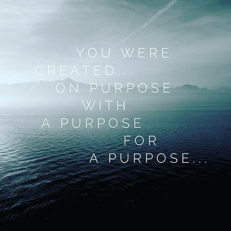 You Were Created For A Purpose, Walking In Your Purpose Quote, Purpose Quotes Inspiration, Your Purpose, On Purpose, Created For A Purpose, Pull Quotes, Purpose Quotes, Purposeful Life