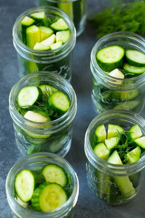 Cucumbers in mason jars with fresh dill and garlic. Pickled Persian Cucumbers, Jarred Cucumbers, Picking Cucumber Recipes, Persian Cucumber Pickles, Refrigerator Kosher Dill Pickles Recipe, English Cucumber Recipes, Pickled Cucumbers Recipe, Mason Jar Pickles, Pickled Items