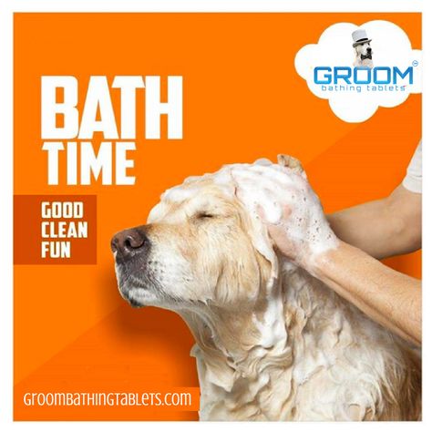 Bath time was never fun until GROOM Bathing Tablets arrived. Enjoy our grooming services at GROOMBathingTablets.com. . . #dogcare #petlove #dogs #cutedogs #cutepets #petcare #petgrooming #doggrooming #pet #doggos #cutedoggos #lovedogs #ilovedogs #doglover #dogworld #dogsarelove #DogBathingTablets #BathTime #DogSpa #ToxicIngredients #CrueltyFree #AvoidChemicals #CleanDog #InstaPet Pets Products, Dog Spa, Best Cleaning Products, Dogs Of The World, Dog Care, Bath Time, Pet Grooming, Dog Grooming, I Love Dogs