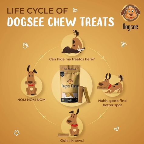 Dogsee Chew Dog Treats Dog Food Creative Ads, All Types Of Dogs, Wide Dresser, Pet Supplements, Makanan Diet, Natural Dog Treats, Pet Shampoo, Dog Facts, Dog Cookies