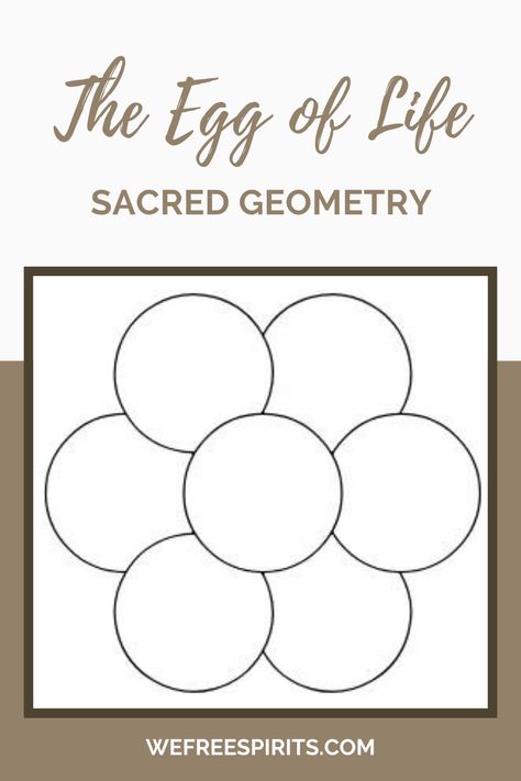 Uncover the hidden meanings behind the Egg of Life, a profound symbol of Sacred Geometry. #eggoflife #sacredgeometry Egg Of Life Sacred Geometry, Egg Of Life, Sacred Geometry Meanings, Cell Forms, Religious Artwork, Days Of Creation, Platonic Solid, Symbolic Representation, Everything Is Connected