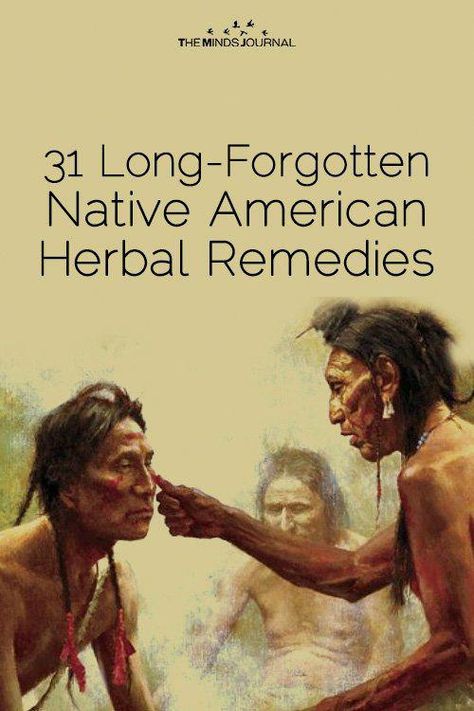 Native American Remedies, Herb Remedies, Natural Healing Remedies, Healing Plants, Herbal Healing, Home Health Remedies, Herbs For Health, Healing Herbs, Natural Health Remedies