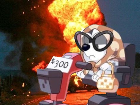 muffin character from bluey in front of an exploding car pfp!! Bingo Funny, Cute Backgrounds For Iphone, Funny Lockscreen, Cartoon Crazy, Funny Pix, Crazy Funny Pictures, Disney Jokes, Goofy Pictures, Very Funny Pictures