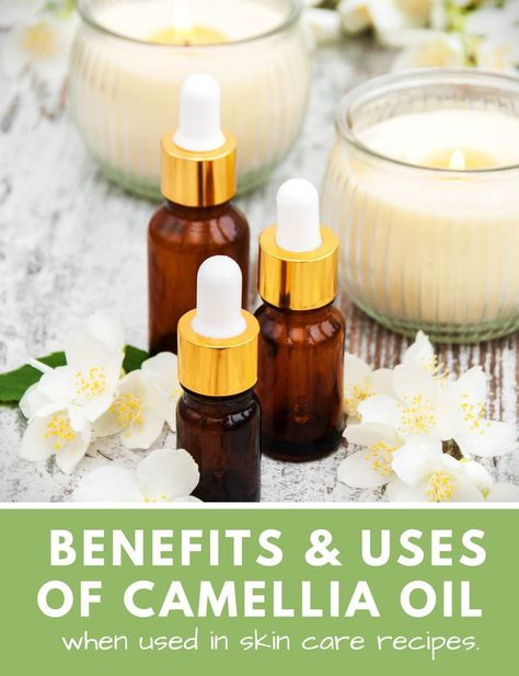 Usage & Benefits of Camellia Oil (Tea Seed Oil) in Skin Care for Natural Beauty. 6 Great Summer Beauty Tips Plus 12 Summer Skin Care Recipes for Dry Skin with Camellia Seed Oil. Summer Skin Care, Summer Beauty Tips, Camellia Oil, Oil Skin Care, Summer Skincare, Summer Skin, Free Life, Skin Care Recipes, I Love Makeup