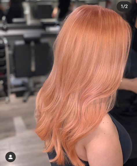 Orange To Blonde Hair, Peach Hair Dye, Pastel Orange Hair, Best Hair Color Ideas, Peach Hair Colors, Best Hair Color, Blonde Hair Transformations, Strawberry Blonde Hair Color, Peach Hair