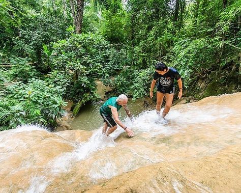 The Elephant Training Center Chiang Dao (Mae Taeng) - 2022 All You Need to Know BEFORE You Go (with Photos) - Tripadvisor Limestone Waterfall, Chiang Dao, Doi Inthanon National Park, Chiang Mai Hotel, Elephant Camp, Zipline Adventure, Thailand Art, Sightseeing Bus, Atv Tour