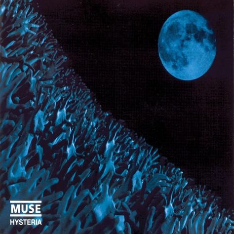 Muse Band, Muse Art, Album Artwork, Blue Hydrangea, Music Stuff, Hydrangea, Album Covers, Muse, Music Videos