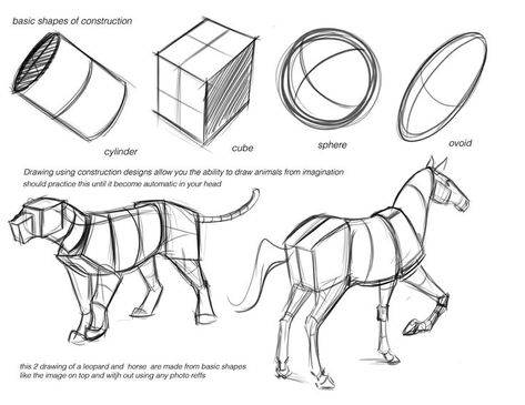 basic shapes for drawing animals - master the basics Drawing Instructions, Easy Animal Drawings, Horse Anatomy, Anatomy Tutorial, Animal Anatomy, Human Figure Drawing, Animal Study, Anatomy For Artists, Horse Drawings