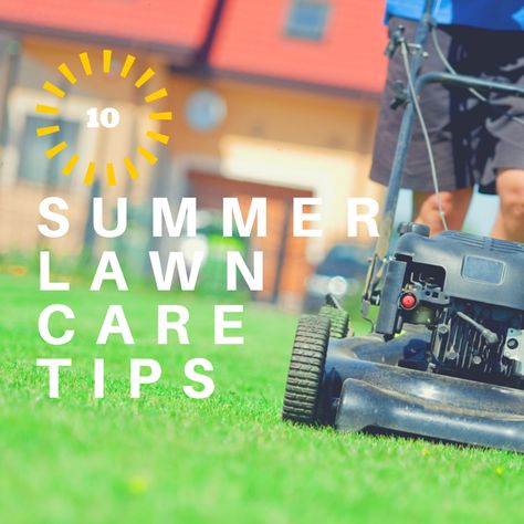 10 summer Lawn Care Tips from how often to water, how often to mow, how to prevent weeds, and so much more.  #lawncaretips  Anthony Coleman, Realtor Summer Lawn Care, Texas Summer, Types Of Grass, Lawn Care Tips, Lawn Sprinklers, Summer Lawn, South Texas, Home Maintenance, Lawn Care