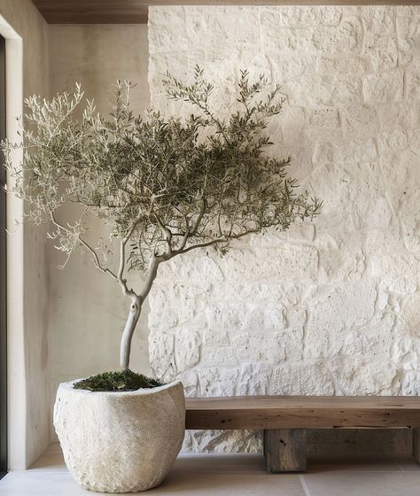 Hillary- Design & Home Decor | project (still needs a name) prelim designs and the chokehold rough cut stone has over me is 😮‍💨😮‍💨😮‍💨 swooning over the understated, rela… | Instagram Wabi Sabi House, Sage Plant, Brick Ranch, Concrete Fireplace, Wood Mantels, Holiday Tablescapes, Big Plants, Green Home Decor, Living Room White