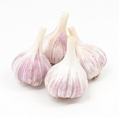 How to Grow Garlic. Where do I Get Garlic to Plant in My Garden? Different Types of Garlic. How to Plant Garlic. How and When to Harvest Garlic. When To Harvest Garlic, Grow Garlic, Harvesting Garlic, Garlic Bulbs, How To Store Garlic, Types Of Christmas Trees, Planting Garlic, Garlic Seeds, Garlic Scapes