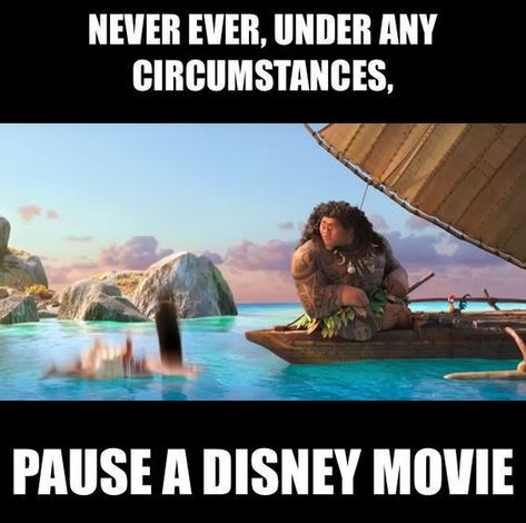 Never Pause a Disney Movie Moana Funny, Moana Memes, Disney Paused, Paused Disney Movies, Humor Disney, Disney Princess Memes, Disney Theory, Funny Disney Memes, Funny Disney Jokes