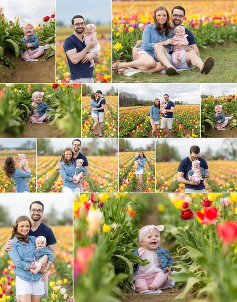 Wooden Shoe Tulip Festival, Portland Baby and Family Photographer, Tulip Spring Photo Session, Shannon Hager Photography Tulip Farm Photoshoot Family, Family Photos Tulip Field, Tulip Field Family Photoshoot, Baby Tulip Pictures, Amsterdam Family Photoshoot, Tulip Photoshoot Photo Ideas Family, Tulip Family Photoshoot, Tulip Photos, Tulip Photoshoot Photo Ideas