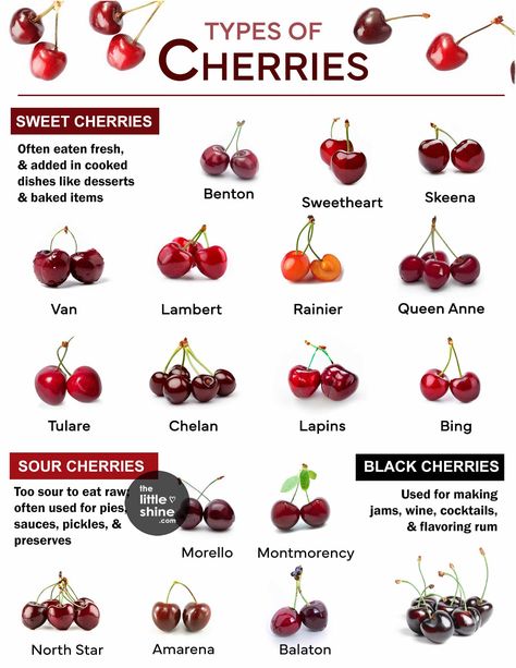 Did you know that there are different types of cherries out there? Most are red, some are black and some are even yellowish-red in color. They range from sweet to sour, let’s talk about the different types of cherries you can find in the market. 17 Types of Cherry and Uses / Benefits 1. Van … Dried Lemon Zest, Cherry Types, Types Of Cherries, Dry Rub Recipes, Dried Lemon, Baking Basics, Rub Recipes, Food Forest, Dry Rub