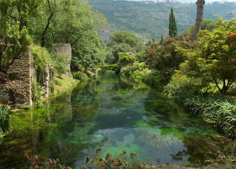 We The Italians | The Gardens of Ninfa Art Vampire, Dengeki Daisy, Famous Gardens, Garden Of Earthly Delights, Most Beautiful Gardens, Samurai Tattoo, Italian Garden, Vampire Knight, Shade Garden