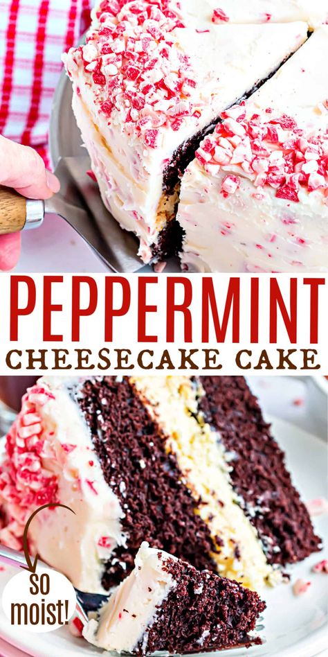 Chocolate Peppermint Cheesecake Cake - Double chocolate layer cake with creamy cheesecake center and peppermint frosting! This rich dessert is sure to steal the show at your holiday celebration! Cheesecake Layer Cake Recipes, Christmas Cake Flavors, Creative Holiday Desserts, December Desserts, Chocolate Peppermint Cheesecake, Cheesecake Cakes, Chocolate Swirl Cheesecake, Peppermint Frosting, Holiday Cake Recipes