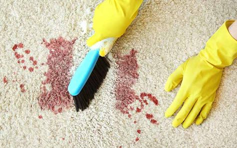 Sometimes, home improvements mean removing, not adding, something.  Like blood stains on carpet, black film on walls and smoking odors.  Listen to TH #Radio for solutions to all these problems!  #diy #homeimprovement #cleaningtips Blood Out Of Carpet, Enzyme Cleaner, Stain Remover Carpet, Tiger Rug, Grapefruit Essential Oil, Cleaning Closet, Dishwasher Soap, Laundry Service, Carpet Cleaners