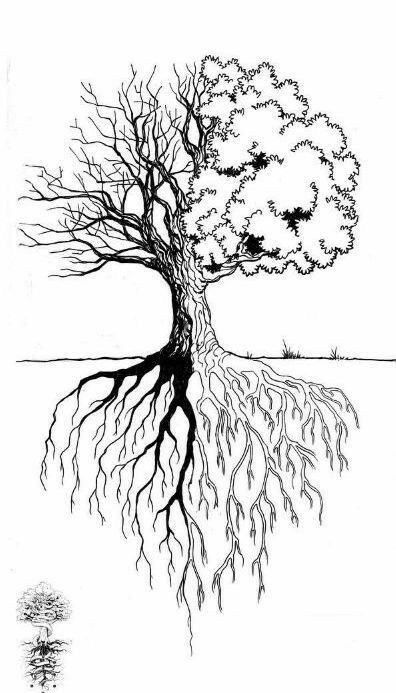 Tree Roots Tattoo, Roots Tattoo, Tree Tattoo Designs, Tree Of Life Art, Tree Of Life Tattoo, Celtic Tree, Tree Roots, Tree Drawing, Nature Tattoos