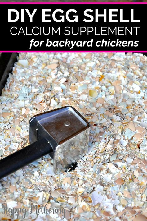 Food For Chickens, Raising Turkeys, Egg Laying Chickens, Backyard Chicken Farming, Chicken Life, Chicken Health, Chicken Treats, Best Chicken Coop, Raising Backyard Chickens