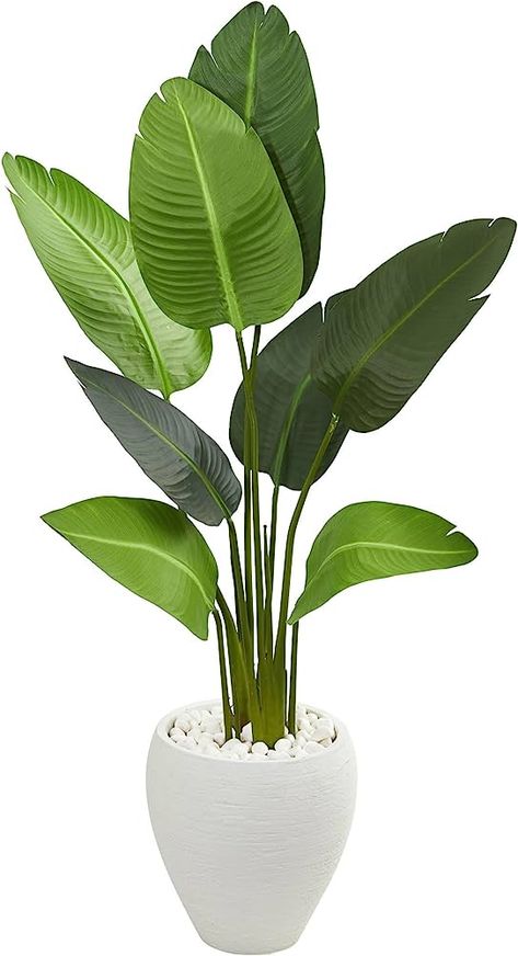 Feng Shui Garden, Tanaman Indoor, Travellers Palm, Artificial Plants And Trees, Floor Plants, Artificial Flowers And Plants, Bedroom Plants, Plant Decor Indoor, Artificial Trees