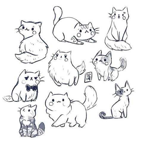 Taylor&Ross en Instagram: “A lot of kitties sketches from yesterday😻❤️ I was really in a cat mood and what time is more perfect to post it then #caturday? Thank you…” Cat Mood, Cute Cat Drawing, Cat Sketch, Cat Doodle, Drawing Faces, Cats Illustration, Animal Sketches, Cat Eyes, Warrior Cat