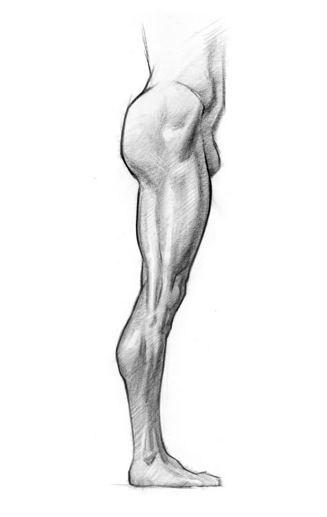 Drawing from the proko anatomy course. #drawing #shading #legs Leg Shading Reference, Leg Shading, Leg Anatomy Practice, Men Legs Drawing, Calves Drawing Reference, Legs Tutorial Drawing, Mens Legs Drawing, Human Legs Drawing, Man Legs Reference