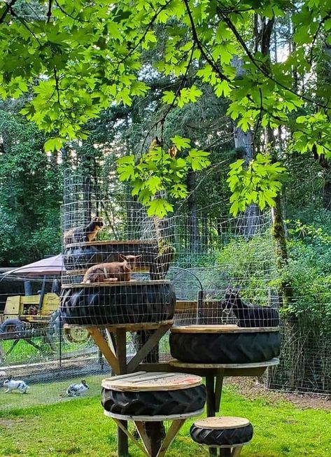 Goat Sleeping Area, Dog Kennel Goat Pen, Goat Playground Ideas Diy Pallets, Goat Ideas Play Areas, Goat Structures Play Areas, Tires For Goats, Goat Tree House, Cow Feeder Ideas, Hobby Farms Ideas