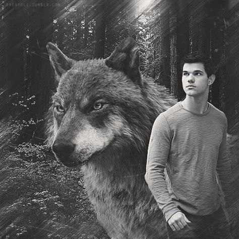 Jacob Black. my favorite These are not the "Wolf Man" , they are not bitten...they BECOME...very cool. It's a Native American thang. Wolves Twilight, Running With Wolves, Wolf Human, Twilight Wolf Pack, Jacob Black Twilight, Twilight Jacob, Twilight Wolf, Twilight Saga Series, Twilight Funny