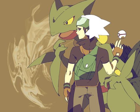 Brendan-Emerald Brandon Pokemon, Hoenn Starters, Mega Sceptile, Pokemon Oras, Pokémon Adventures, Pokémon Ruby And Sapphire, Sapphire Pokemon, Hoenn Region, Pokemon Silver