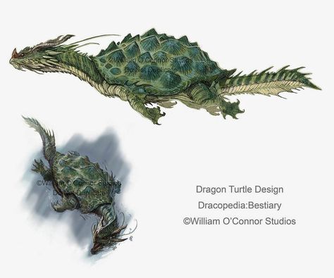 The Dracopedia Project.A dragon turtle (龙龟, Lóngguī) is a legendary Chinese creature that combines two of the four celestial animals of Chinese mythology: the body of a turtle with a dragon is promoted as a positive ornament in Feng Shui, symbolizing courage, determination, fertility, longevity, power, success, and support. Dragon Turtle Dnd, Turtle Dragon, Dragon Turtle, Chinese Mythology Creatures, Chinese Mythology, By Any Means Necessary, Arte Robot, Fantasy Beasts, Creature Drawings