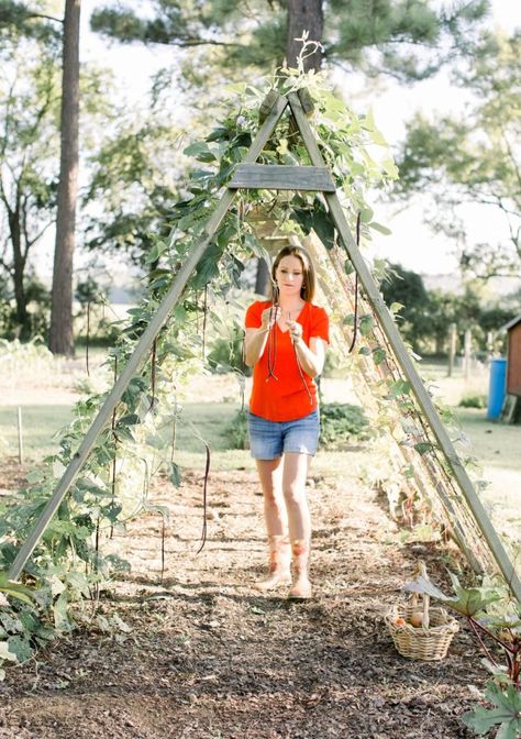 11 Garden Projects to Prepare for Next Season - The Beginner's Garden A Frame Garden, Pumpkin Trellis, Bean Trellis, Garden Grid, First Garden, Worm Composting, Pole Beans, Garden Planner, Better Homes And Garden