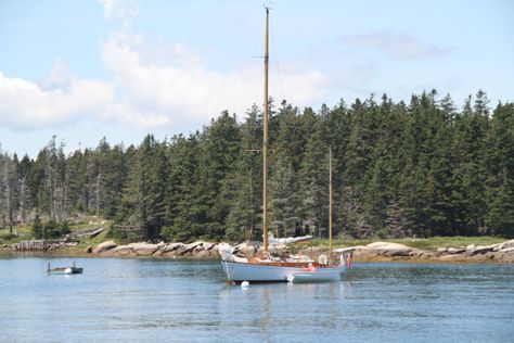 Guide to visiting Southwest harbor, Maine, boat tours, lodging, dining, Acadia park tips | Visit Maine Blog Acadia National Park Winter, Southwest Harbor Maine, Acadia National Park Maine, Beach Week, Visit Maine, Bar Harbor Maine, Mount Desert Island, Maine Vacation, Acadia National Park