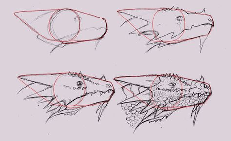 Drawing tutorial: How to Draw Dragon Heads in Side View How To Draw Dragons, Dragon Head Drawing, Draw A Dragon, Dragon Anatomy, Dragon Heads, Dragon Sketch, Fantasy Drawings, Creature Drawings, Dragon Artwork