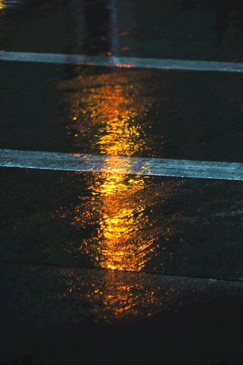 Wet Street, Grunge Life, بيوت ملكية, Rain Street, Rain Gif, Rainy Mood, Dark Environment, Ui Ux 디자인, Swag Wallpaper