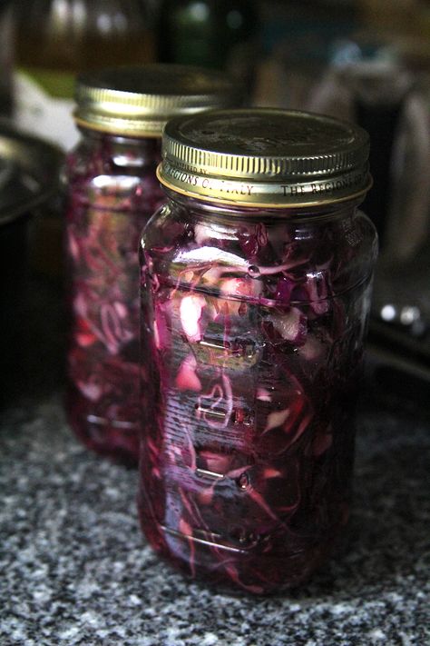 Pickled Red Cabbage Cabbage Kimchi, Pickled Red Cabbage, Food School, Red Cabbage Recipes, Fermented Cabbage, Pickled Cabbage, Fermentation Recipes, Purple Cabbage, Pickled Veggies