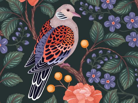 Two Turtle Doves Illustration, Turtle Dove Illustration, Dove Illustrations, 2 Turtle Doves, Dove Painting, Turtle Doves, Woodcut Art, Bird Illustrations, Turtle Dove