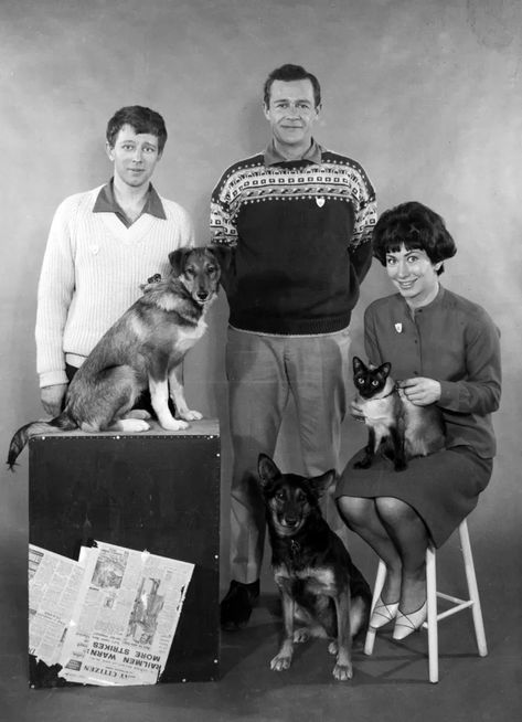 Blue Peter Presenters, Childhood Memories 60's, British Tv Comedies, 70s Tv, 60s Tv, Retro Things, Tv Ideas, 1970s Childhood, Pictures Blue