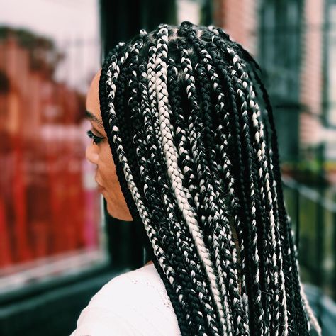 Hair By Susy on Instagram: “Black & Silver Box Braids only at Hairbysusy.com #hairbysusy #boxbraids #braids” Silver And Black Box Braids, Black And Silver Braids, Black And White Box Braids, Silver Box Braids, Braid Colours, Grey Box Braids, Black And Silver Hair, Black Box Braids, Small Box Braids