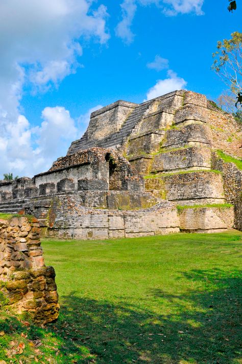 Travel back in time—as far as 900 B.C.—to the ancient ruins of Altun Ha, where five square miles of Mayan history emerge from the thick jungles outside of Old Belize. #vikingcruises #centralamerica #wanderlust #architecture #caribbean #ocean #cruise #travelideas Puerto Limon, Travel Belize, Mayan Civilization, Belize Beach, Mayan History, Caribbean Ocean, Belize Resorts, Viking Cruises, Belize City