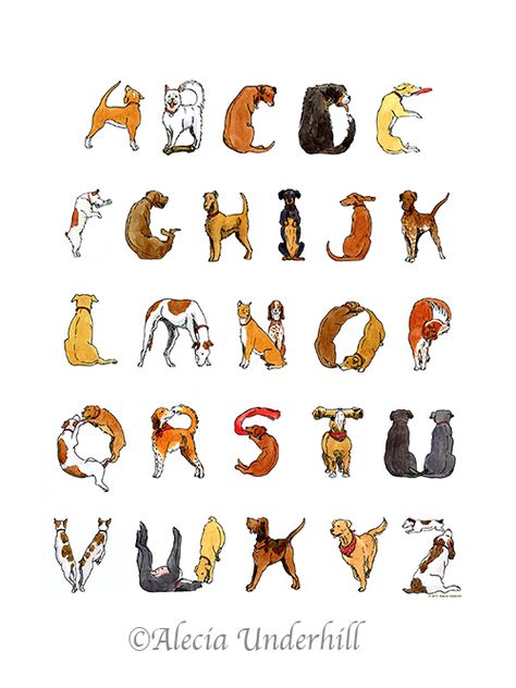 dog alphabet pic www.theponyhabit.com Dog Lettering, Dog Letters, Dog Font, Dog Alphabet, Draw Dog, Illustrated Alphabet, Alphabet Art, Animal Alphabet, Alphabet Poster