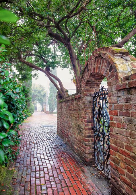 Brick Wall Architecture, Victorian Fence, Garden Brick Wall, Charleston Gates, Brick Wall Gardens, Wall Gardens, Wrought Iron Garden Gates, Horse Clothing, Brick Archway