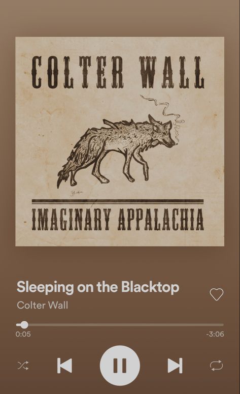 Sleeping On The Blacktop, Colter Wall, Digable Planets, Logic, Planets, Mood Board, Songs, Wall