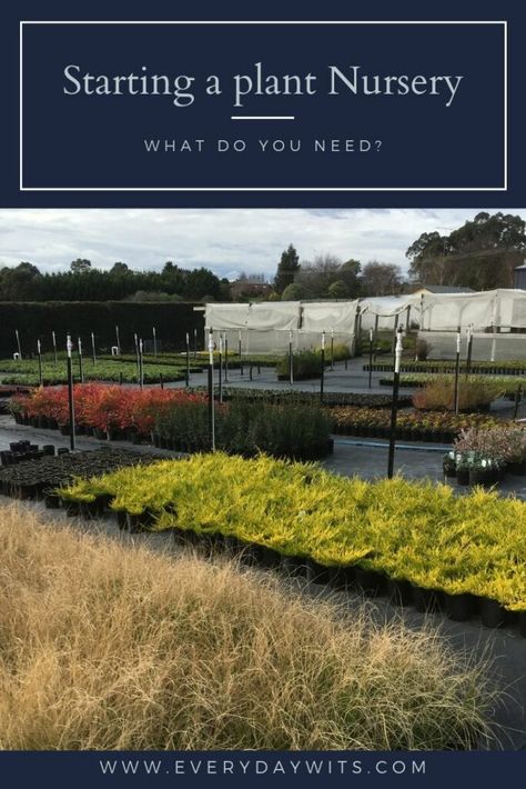 Plant Nursery Layout Plan, How To Start A Plant Nursery, Starting A Plant Nursery Business, Nursery Business Ideas, Green House Business, Nursery Plants Greenhouses, Nursery Plants Ideas, Greenhouse Nursery Business, Backyard Nursery Business