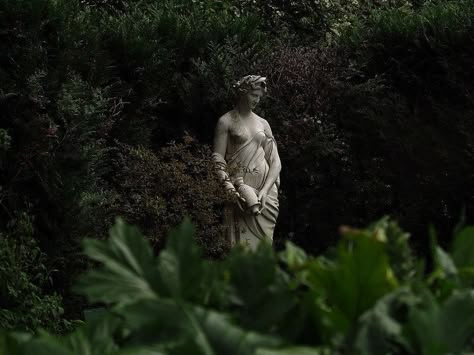 Statues In Nature, Olgierd Von Everec, Foto Muro Collage, Green Academia, Dark Naturalism, Dark Green Aesthetic, Slytherin Aesthetic, The Secret Garden, Green Aesthetic