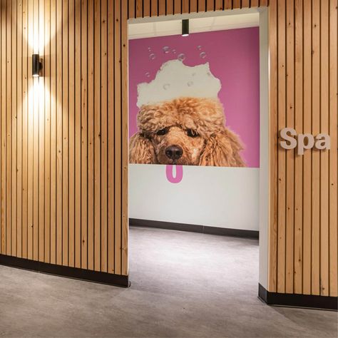 Dog Store Design, Dog Spa Design, Grooming Design, Hotel For Dogs, Pet Spa Design, Pet Hotel Reception, Dog Hotel Design, Luxury Dog Hotel, Spa Dog