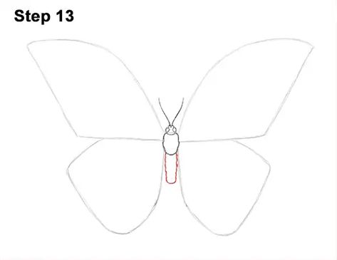 Butterfly Blue Morpho, Draw A Butterfly, Drawing Instructions, Blue Morpho Butterfly, Draw Animals, Butterfly Blue, Morpho Butterfly, Blue Morpho, Learn How To Draw