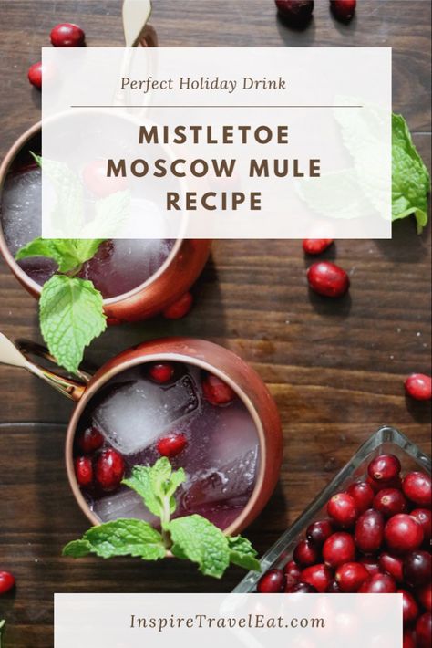 Best holiday cocktail! #moscowmulerecipe #moscowmuled #christmasvodka #vodkacocktails #vodkadrinks Mistletoe Mojito Recipe, Christmas Mule Cocktail Pitcher, Mistletoe Mule Recipe, Christmas Moscow Mule Recipe, Christmas Mule Cocktail, Mistletoe Mule, Christmas Mules, Christmas Moscow Mule, Christmas Mule