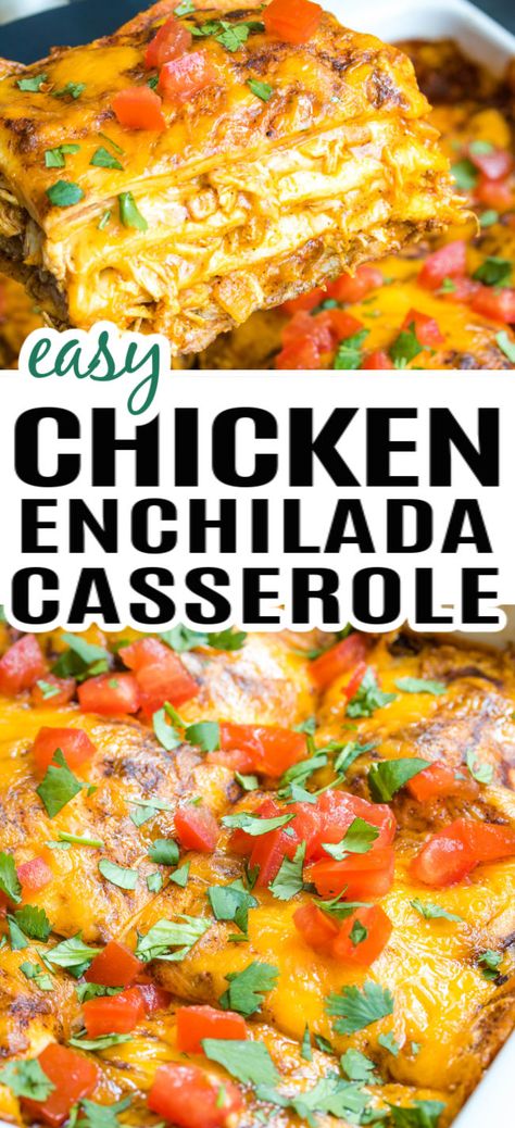 A baking dish with chicken enchilada casserole in a baking dish, topped with cilantro and tomatoes. Green Chili Chicken Enchilada Casserole, Easy Enchilada Casserole, Easy Chicken Enchilada Casserole, Easy Chicken Enchiladas, Easy Chicken Enchilada Recipe, Chicken Enchilada Casserole Recipe, Green Chili Chicken, Enchilada Casserole Recipes, Easy Enchiladas