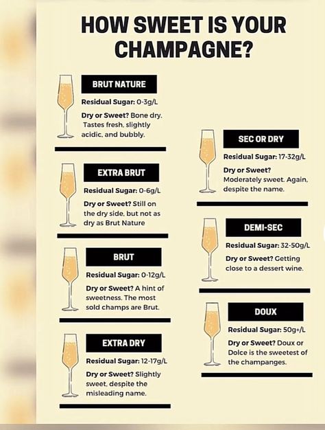 Pin by Kimberly Fry on Cocktails in 2022 | Wine desserts, Champagne recipe, Champagne recipes cocktails Bartending Basics, Champagne Recipes, Champagne Cart, Champagne Pairing, Champagne Recipe, Wine Basics, Bartender Drinks Recipes, Wine Chart, Champagne Recipes Cocktails