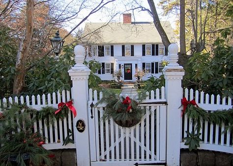 Gorgeous! White House Black Shutters, Fence Backyard, New England Christmas, Black Shutters, Colonial Exterior, Front Gate, White Picket Fence, Golden Gate Park, New England Homes